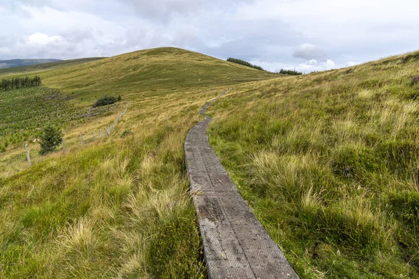 Wooden path in Wicklow way.