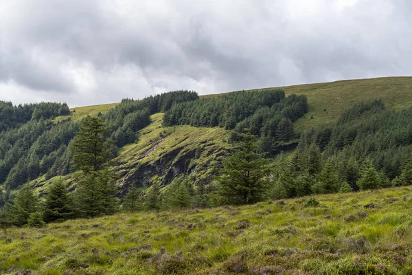 Wicklow sätt landskap, Glendalough Vale. — Stockfoto
