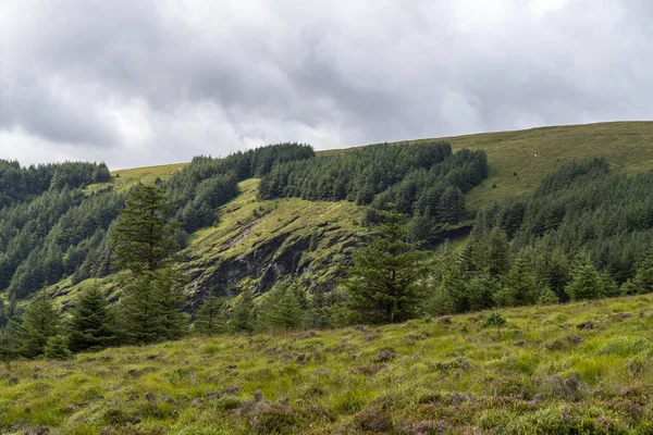 Camino de Wicklow paisaje, Glendalough vale . — Foto de Stock