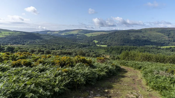 Wicklow Way, Hrabstwo Wicklow. — Zdjęcie stockowe