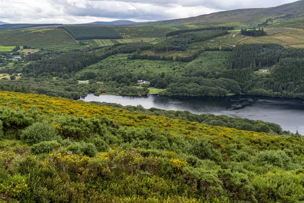 Wicklow sposób krajobraz Lough Dan Lake w pochmurny dzień. — Zdjęcie stockowe