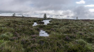 Su birikintileri suda bazı yansımaları ile bulutlu bir günde Wicklow yol manzara.