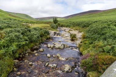 Dargle Nehri, Glensoulan Vadisi.