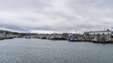 Howth balıkçı limanı, 16 Ağustos 2019.