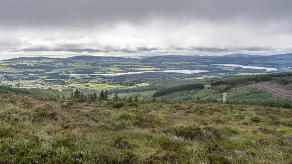 Vartry Reservoir an einem trüben Tag. — Stockfoto