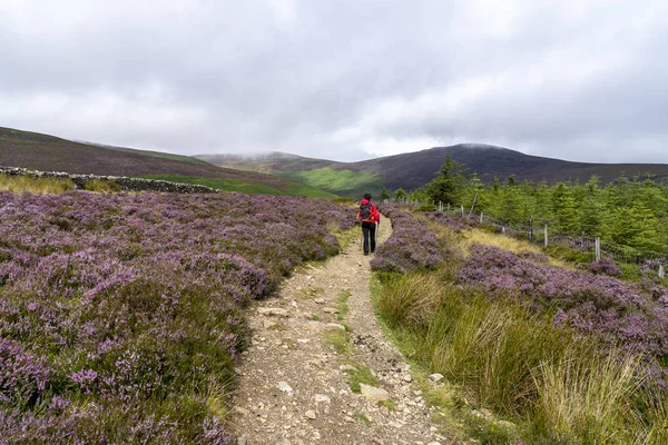 Landschaft des Wicklow Way an einem bewölkten Tag mit einem Ausflugsmädchen. — Stockfoto