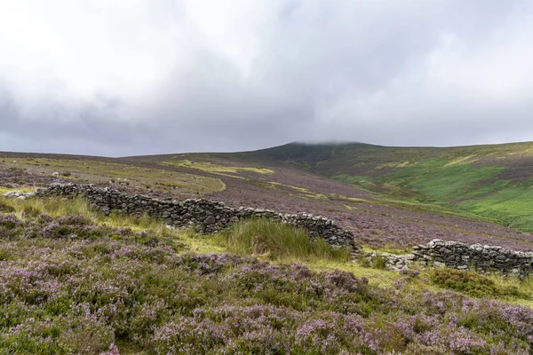 Landschaft des Wicklow Way an einem bewölkten Tag. — Stockfoto