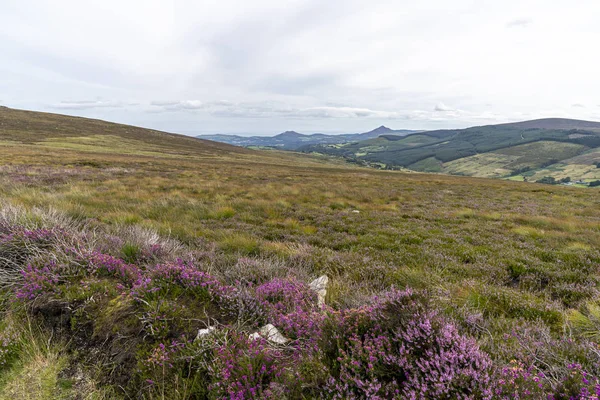 Lanscape z Wicklowské cesty za slunečného dne, okres Dublin. — Stock fotografie