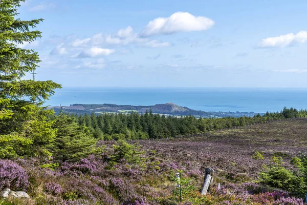 Güneşli bir günde Wicklow yolu Lanscape.