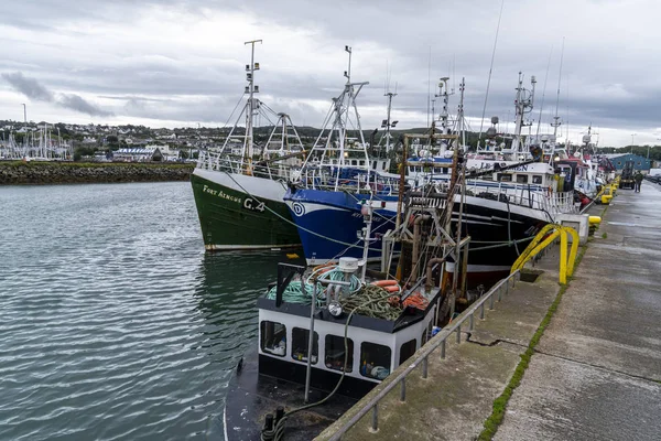 Port rybacki Howth, 16 sierpnia 2019. — Zdjęcie stockowe