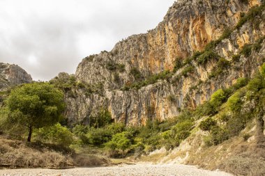 Laguart Vadisi 'nde 6000 adım, Fleix..