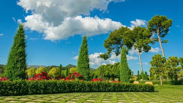 Jardin Mariage Par Une Journée Ensoleillée Les Arroseurs Arrosage — Photo