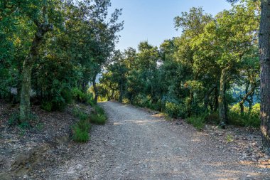 Girona, Katalonya, İspanya ormanlarındaki toprak yol.