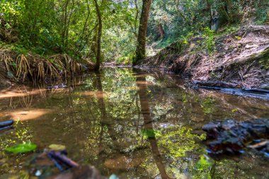 Cassa de la Selva, Girona, Katalonya, İspanya.