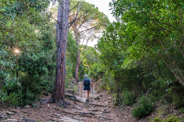 Trekking Morgengrauen Von Girona Aus Mit Einem Wanderer Unterwegs Girona — Stockfoto