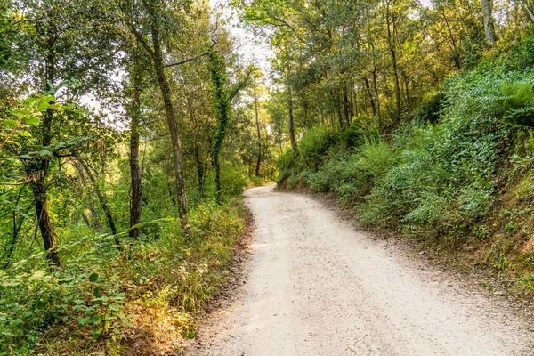 Percorso Nella Foresta Nel Parco Naturale Del Massiccio Les Gavarres — Foto Stock