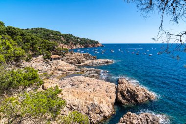 Tamariu plajı yakınlarındaki sahil manzarası, Girona, Katalonya, İspanya.