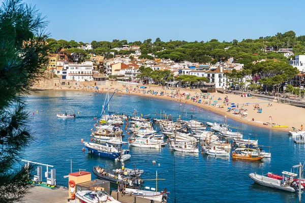 Llafranc Sahili ve limanı, Girona, Katalonya, İspanya.