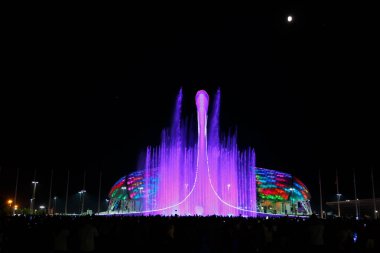 Sochi Şehir Stadyumu Fisht arka plan üzerinde güzel çeşme