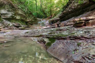 Yeşil orman Krasnodar toprakları üzerinden akan şelale