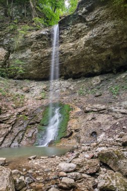 Yeşil orman Krasnodar toprakları üzerinden akan şelale