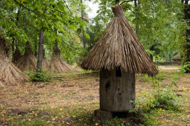 Pereyaslav-Khmelnitsky mimarisinin Açık Hava Müzesi