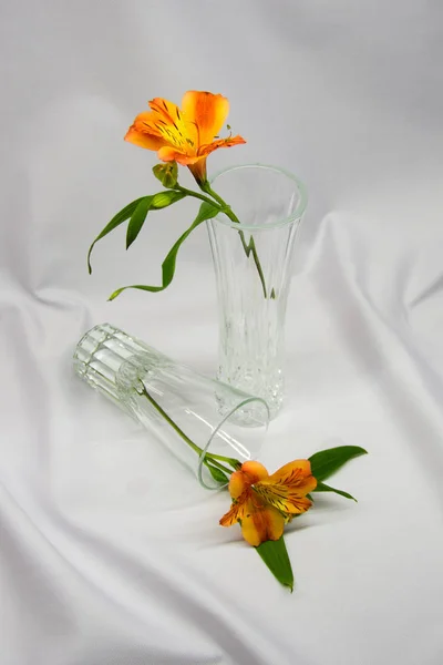 Flores de Alstroemeria em um vaso — Fotografia de Stock