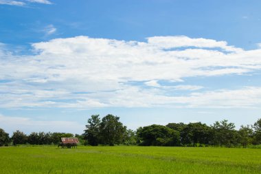 Sukhothai Eyaleti, Tayland pirinç alanında küçük kulübe.