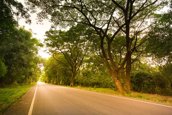 Nova Estrada Asfalto Para Natureza Cenário Pôr Sol Tom Quente — Fotografia de Stock