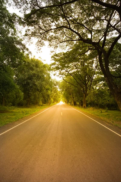 Nova Estrada Asfalto Para Natureza Cenário Pôr Sol Tom Quente — Fotografia de Stock