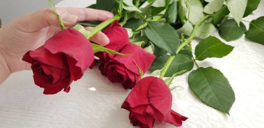 bir çiçek üzerinde yüksek yeşil kaynaklanıyor beş kırmızı gül buketi beyaz masaya bırakır el tutar