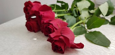 yüksek yeşil sapları üzerinde beş kırmızı gül buketi beyaz masaya bırakır