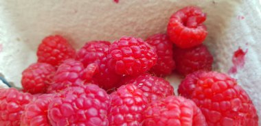 Tahta kutuda taze kırmızı ahududular