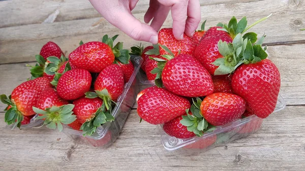 Uomo Prende Fragole Fresche Rosse Dalla Scatola Plastica Piena — Foto Stock