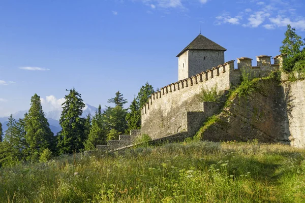 Dağda Mnchsberg, Salzburg, Avusturya ortaçağ kalesi kalıntıları. Alp sahne. Çayır çiçekler. 