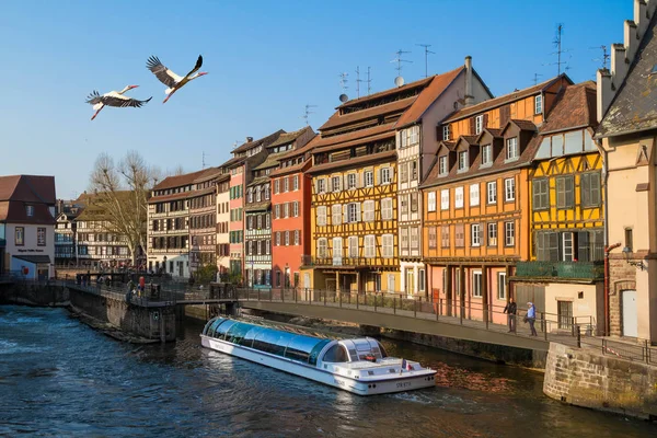Strazburg, Alsace/Fransa - 01.04.2019: ünlü turistik bölge Petite France. Yarı ahşap renkli evler, set, kafe, yürüyen insanlar, Ill nehir, cruise boat Batorama, leylek