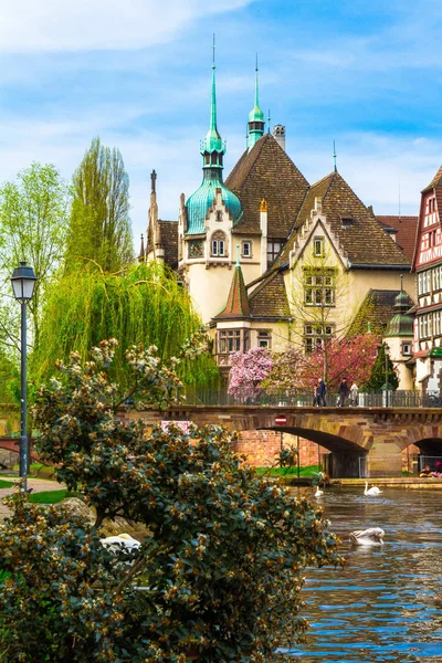 Strazburg, Alsace/Fransa - 01.04.2019: Ill nehri kıyısında lisenin inşası. Söğüt, kiraz ve elma ağaçları, eski kemer köprü, yarı ahşap bina ile Bahçe. Parlak güneşli bir gün