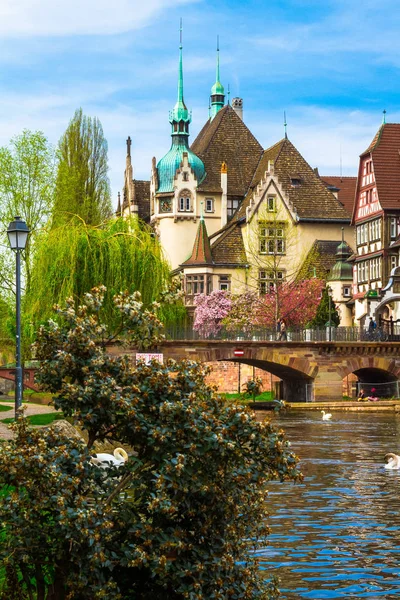 Strazburg, Alsace/Fransa - 01.04.2019: Ill nehri kıyısında lisenin inşası. Söğüt, kiraz ve elma ağaçları, eski kemer köprü, yarı ahşap bina ile Bahçe. Parlak güneşli bir gün
