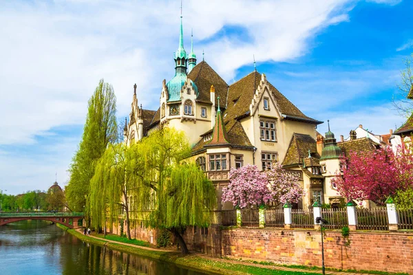 Strazburg, Alsace/Fransa - 01.04.2019: Ill nehri kıyısında lisenin inşası. Söğüt, kiraz ve elma ağaçları, eski kemer köprü, yarı ahşap bina ile Bahçe. Parlak güneşli bir gün