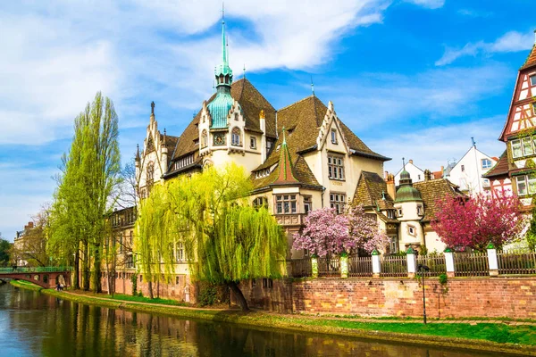 Strazburg, Alsace/Fransa - 01.04.2019: Ill nehri kıyısında lisenin inşası. Söğüt, kiraz ve elma ağaçları, eski kemer köprü, yarı ahşap bina ile Bahçe. Parlak güneşli bir gün