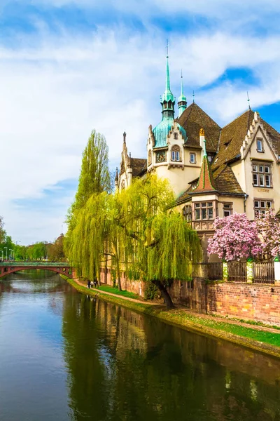 Strazburg, Alsace/Fransa - 01.04.2019: Ill nehri kıyısında lisenin inşası. Söğüt, kiraz ve elma ağaçları, eski kemer köprü, yarı ahşap bina ile Bahçe. Parlak güneşli bir gün