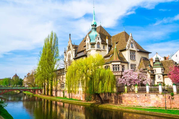 Strazburg, Alsace/Fransa - 01.04.2019: Ill nehri kıyısında lisenin inşası. Söğüt, kiraz ve elma ağaçları, eski kemer köprü, yarı ahşap bina ile Bahçe. Parlak güneşli bir gün