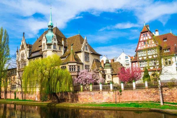 Strazburg, Alsace/Fransa - 01.04.2019: Ill nehri kıyısında lisenin inşası. Söğüt, kiraz ve elma ağaçları, eski kemer köprü, yarı ahşap bina ile Bahçe. Parlak güneşli bir gün