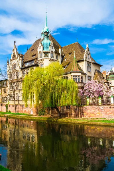 Strazburg, Alsace/Fransa - 01.04.2019: Ill nehri kıyısında lisenin inşası. Söğüt, kiraz ve elma ağaçları, eski kemer köprü, yarı ahşap bina ile Bahçe. Parlak güneşli bir gün