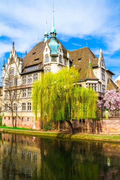 Strazburg, Alsace/Fransa - 01.04.2019: Ill nehri kıyısında lisenin inşası. Söğüt, kiraz ve elma ağaçları, eski kemer köprü, yarı ahşap bina ile Bahçe. Parlak güneşli bir gün