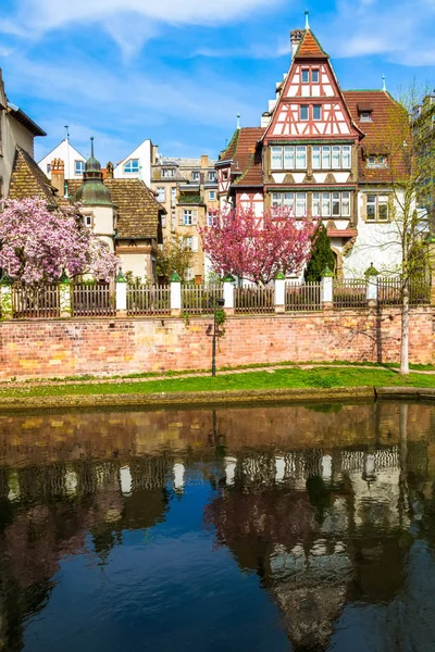 Strazburg, Alsace/Fransa - 01.04.2019: Ill nehri kıyısında lisenin inşası. Söğüt, kiraz ve elma ağaçları, eski kemer köprü, yarı ahşap bina ile Bahçe. Parlak güneşli bir gün