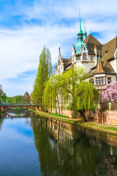 Strazburg, Alsace/Fransa - 01.04.2019: Ill nehri kıyısında lisenin inşası. Söğüt, kiraz ve elma ağaçları, eski kemer köprü, yarı ahşap bina ile Bahçe. Parlak güneşli bir gün