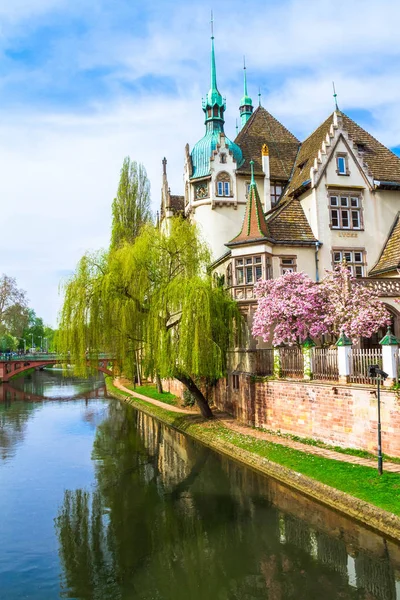 Strazburg, Alsace/Fransa - 01.04.2019: Ill nehri kıyısında lisenin inşası. Söğüt, kiraz ve elma ağaçları, eski kemer köprü, yarı ahşap bina ile Bahçe. Parlak güneşli bir gün