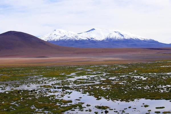 Das Rio Putana Tal Hochland Der Atacama Wüste Entlang Der — Stockfoto