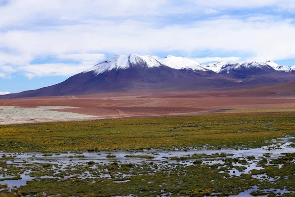 Valle Del Rio Putana Negli Altopiani Del Deserto Atacama Lungo — Foto Stock